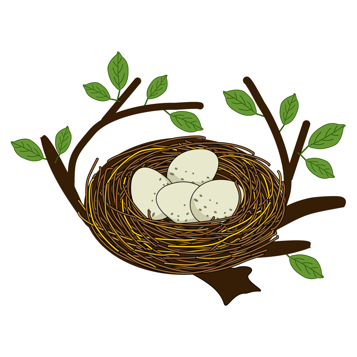 Nest